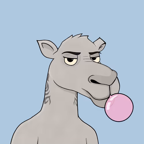 Camelsnftio