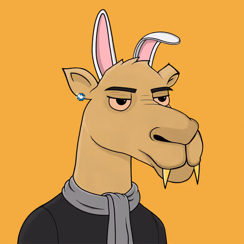 Camelsnftio