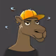 Camel #21