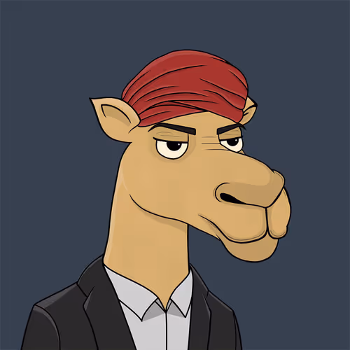 Camelsnftio