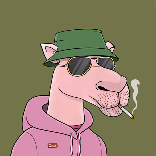 Camelsnftio