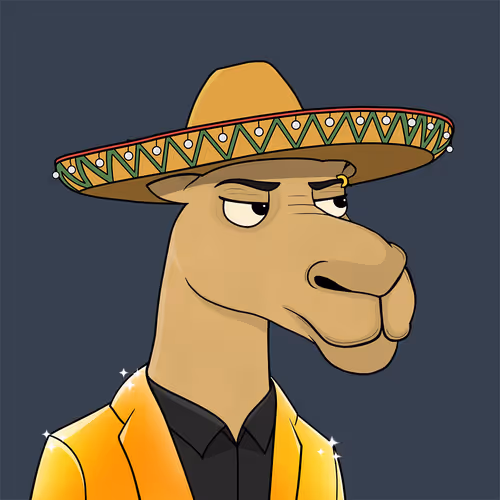 Camelsnftio