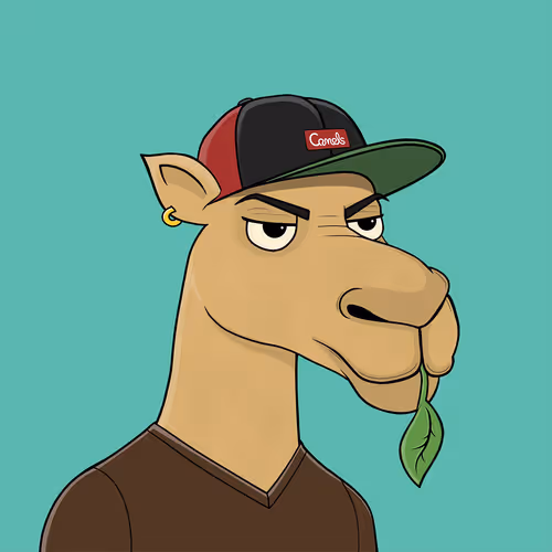 Camel #4984