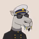Camel #506
