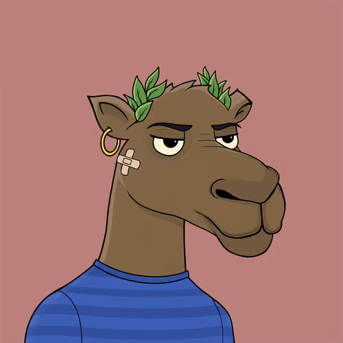 Camelsnftio