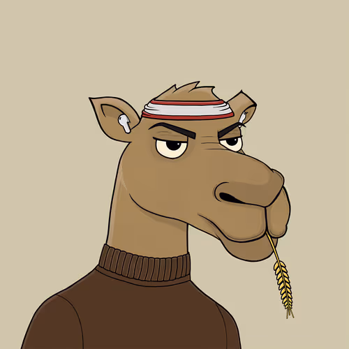Camelsnftio