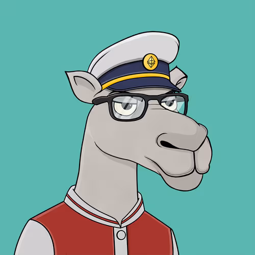 Camelsnftio