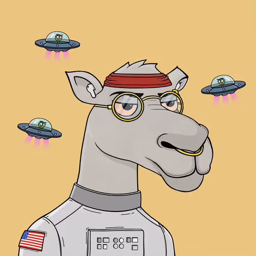 Camelsnftio