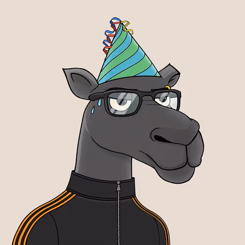 Camelsnftio