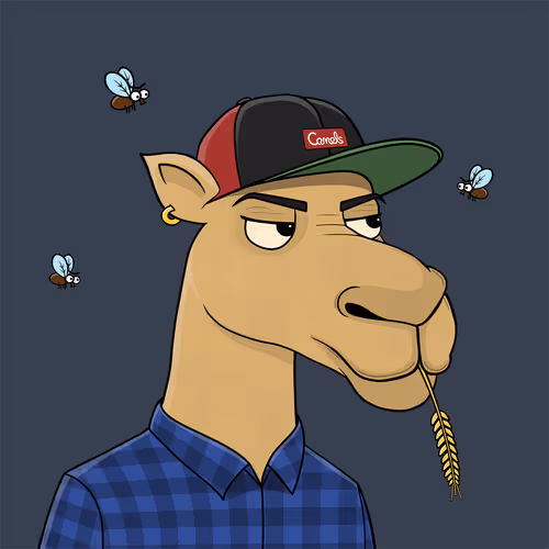 Camelsnftio