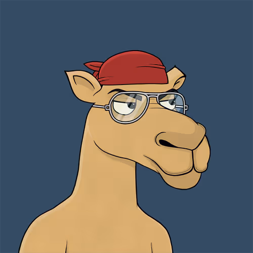 Camelsnftio