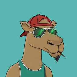 Camel #7470