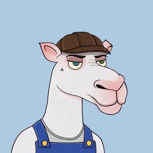 Camelsnftio