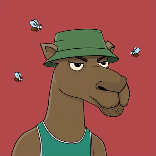Camel #3035