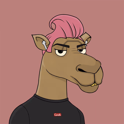 Camelsnftio