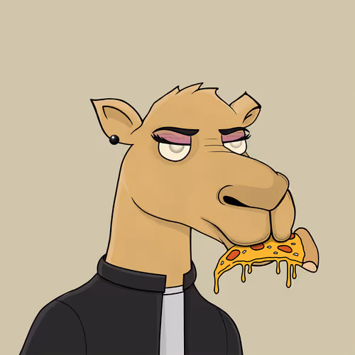 Camelsnftio