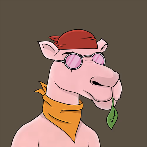 Camelsnftio
