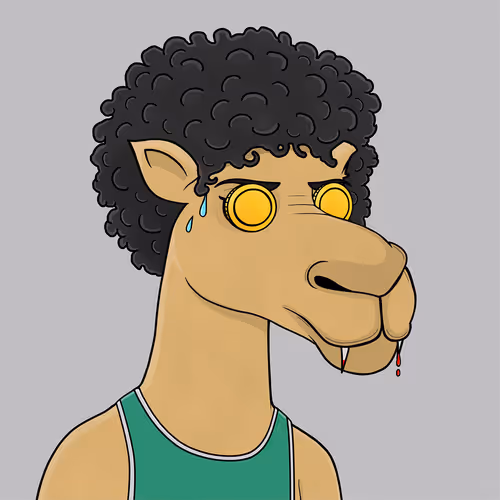 Camelsnftio