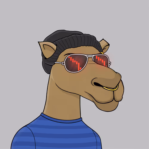 Camelsnftio
