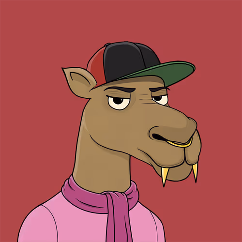 Camelsnftio