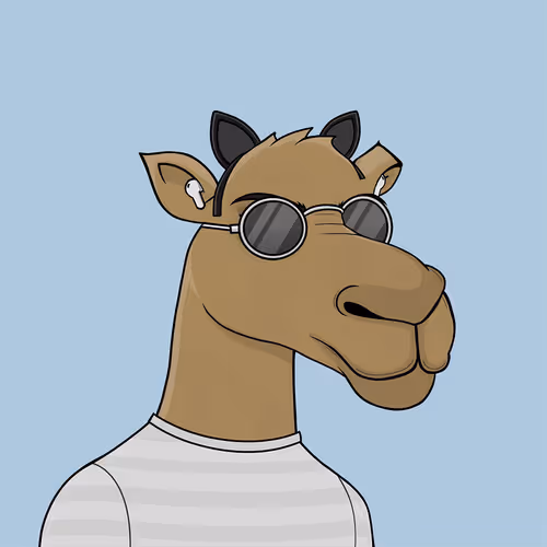 Camelsnftio