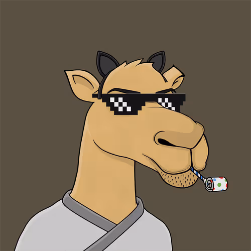 Camelsnftio