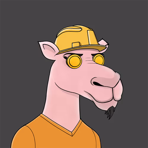 Camelsnftio