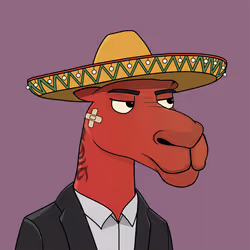 Camel #5243