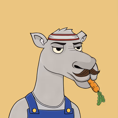 Camelsnftio