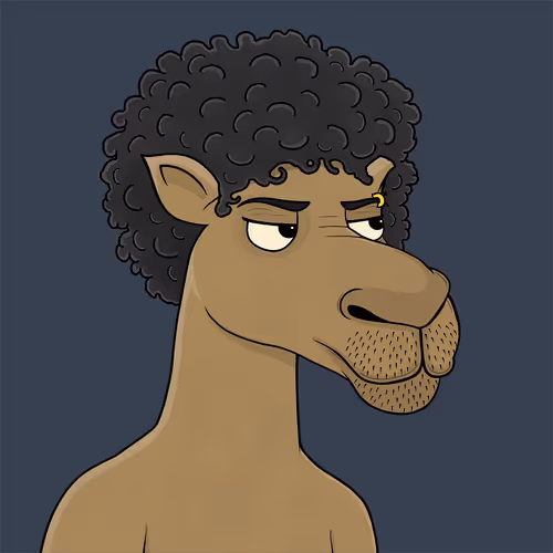 Camelsnftio