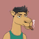 Camel #1735