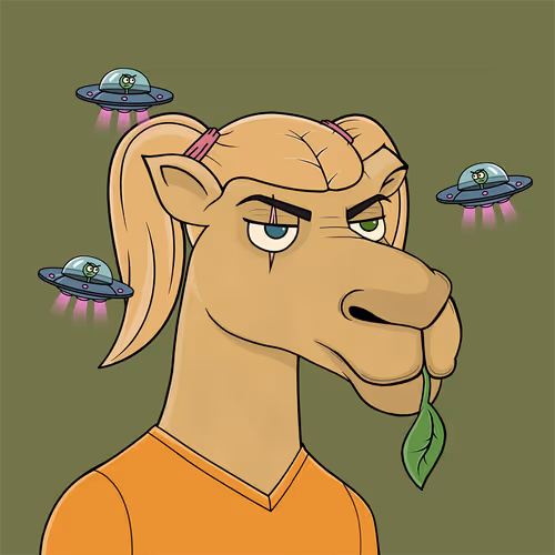Camelsnftio