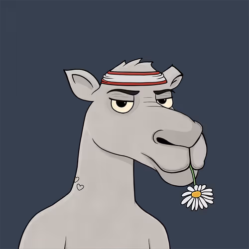Camelsnftio