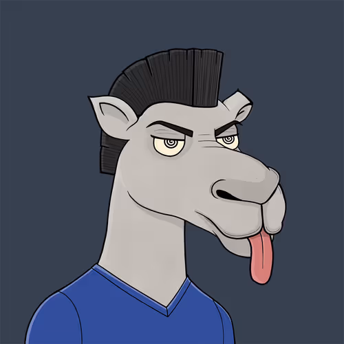Camelsnftio
