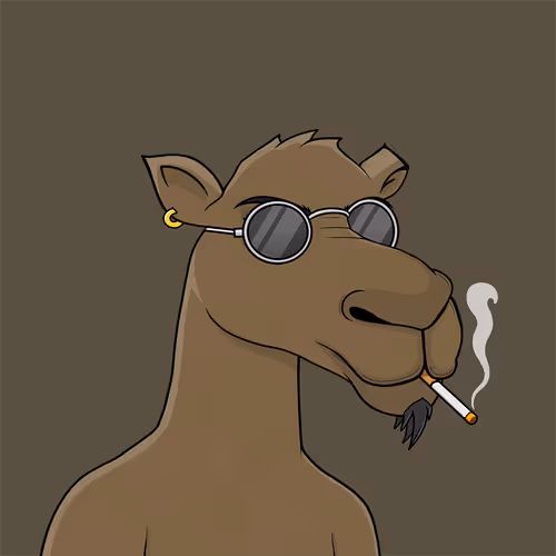 Camelsnftio