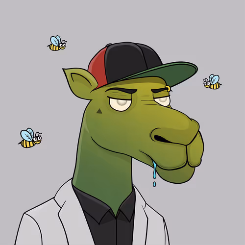 Camelsnftio