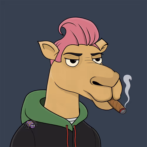 Camel #2922