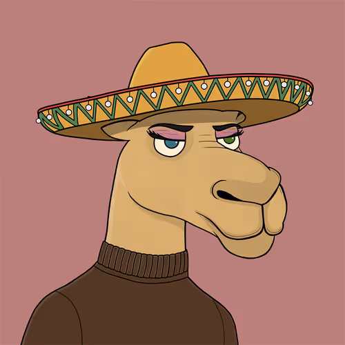 Camelsnftio
