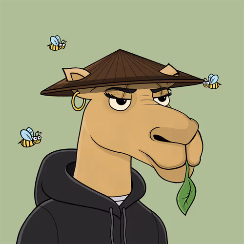 Camelsnftio