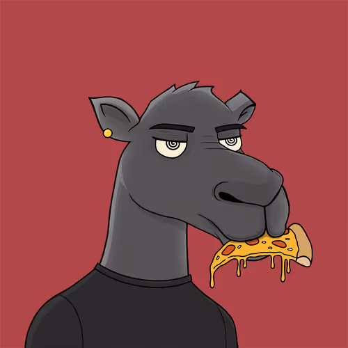 Camelsnftio