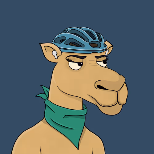 Camelsnftio