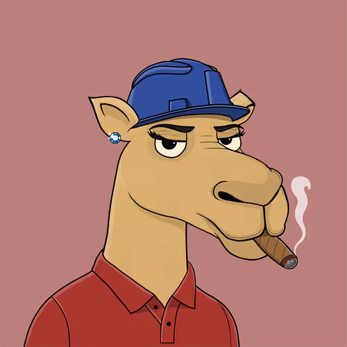 Camelsnftio