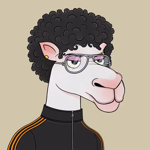Camelsnftio