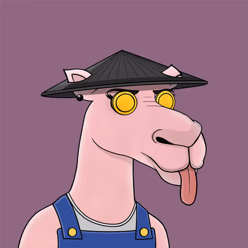 Camelsnftio