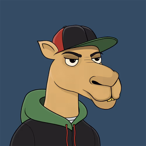 Camelsnftio