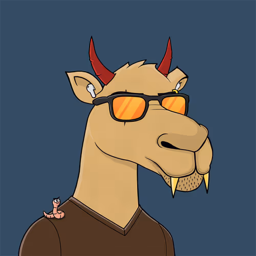 Camelsnftio