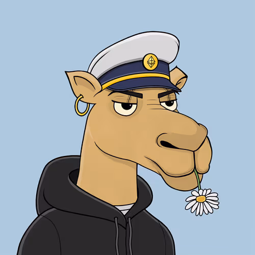 Camelsnftio