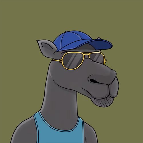 Camel #1232