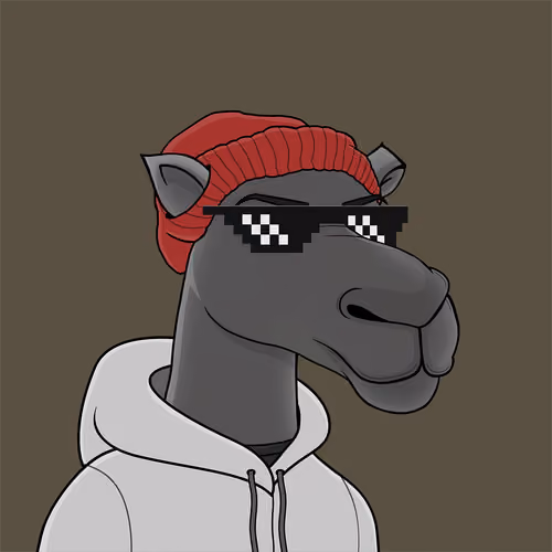 Camel #3479