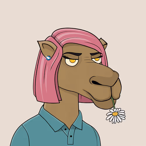 Camelsnftio